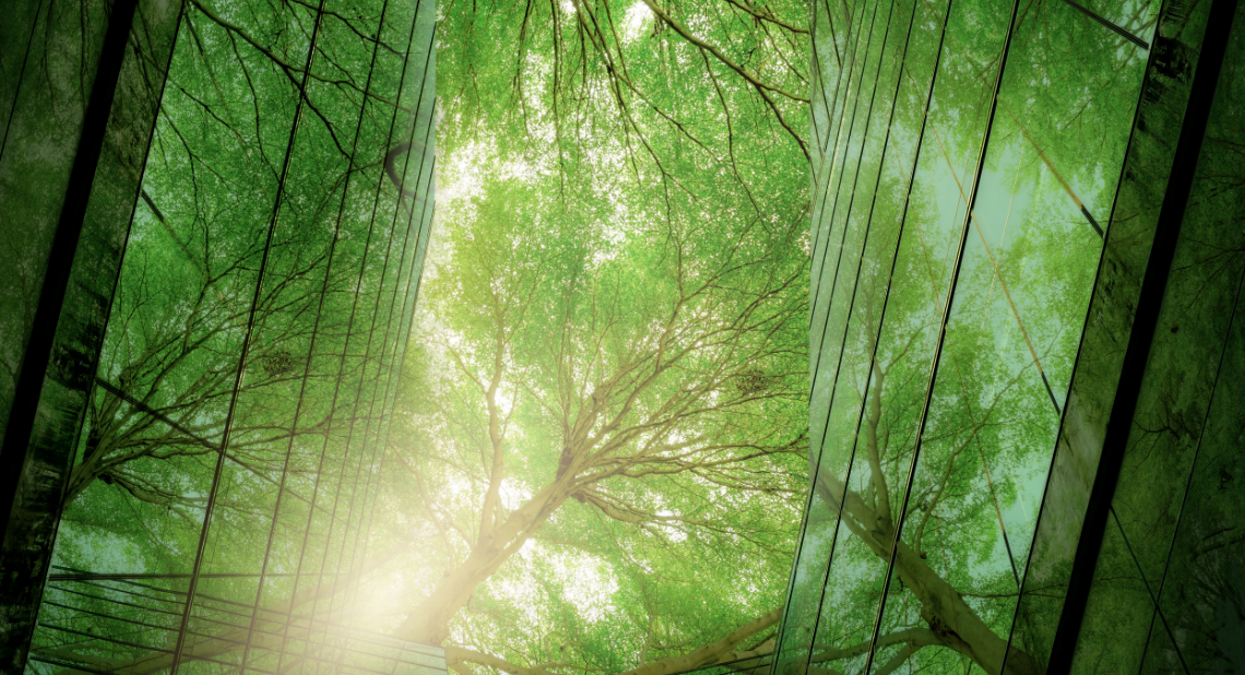 Ein Baum, und Glas - eine Verbindung zwischen Modernität und Natur, so wie Nachhaltige Finanzwirtschaft
