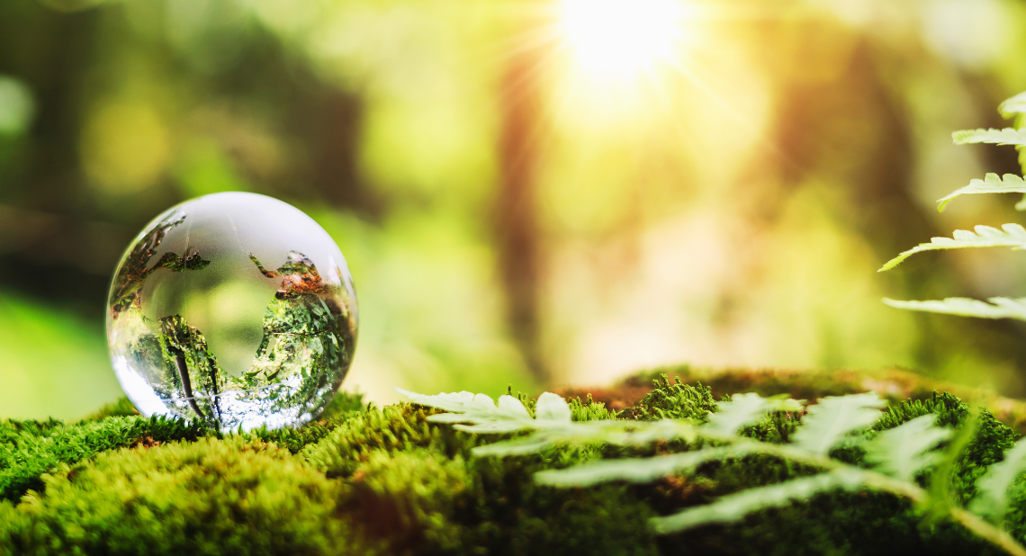 Globus aus Glas in Moos