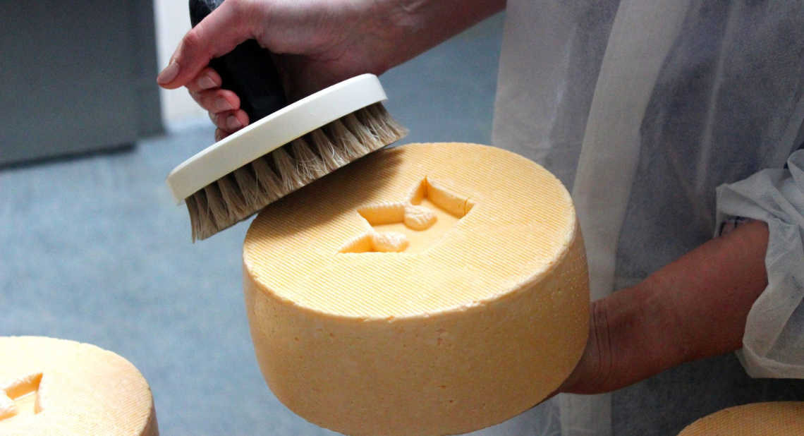 Königskäse in Brodowin
