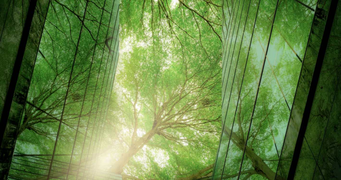 Ein Baum, und Glas - eine Verbindung zwischen Modernität und Natur, so wie Nachhaltige Finanzwirtschaft