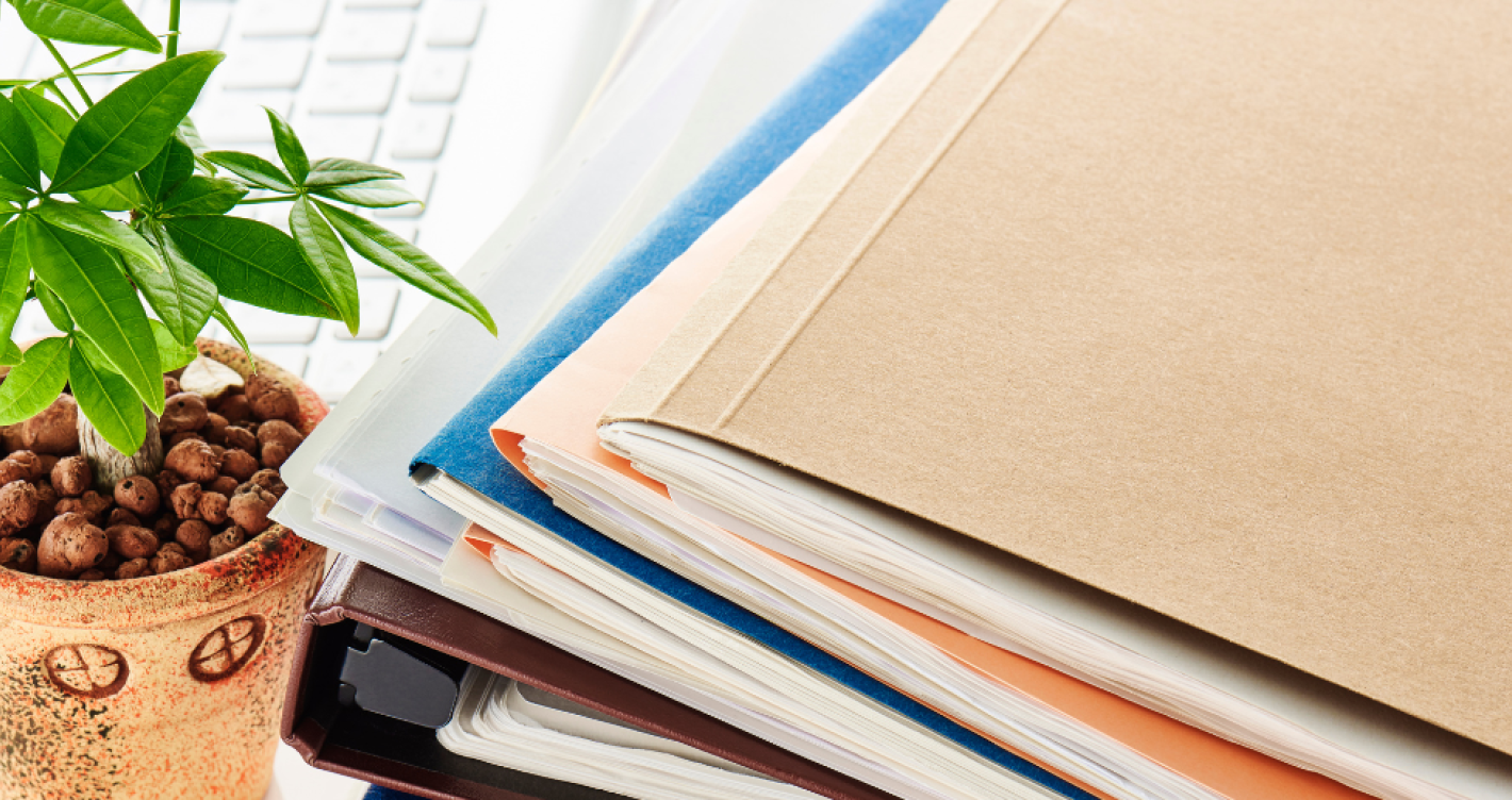 Ordner mit Hauspflanze