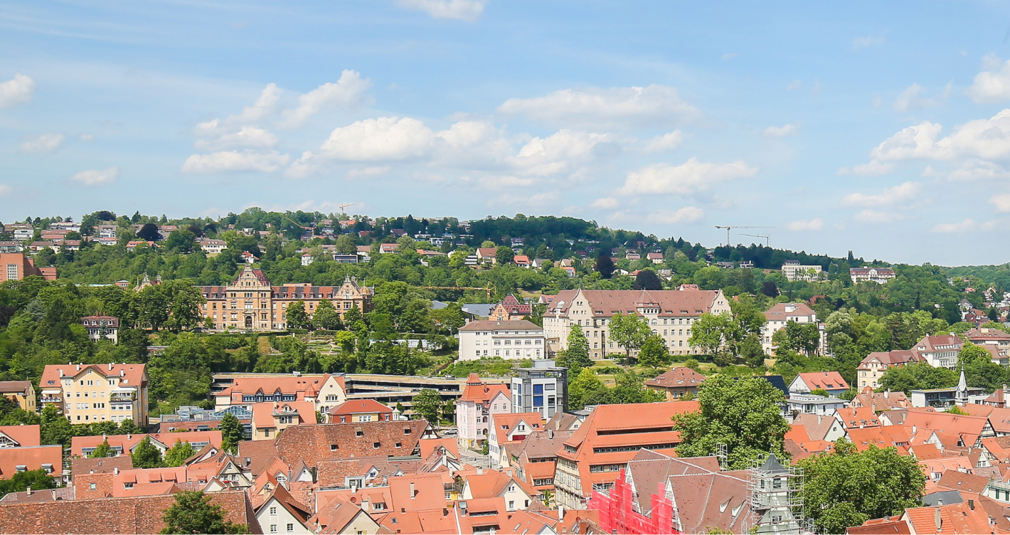 Panoramaaufnahme von Tübingen