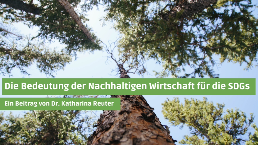 Bedeutung der Nachhaltigen Wirtschaft für die SDGs
