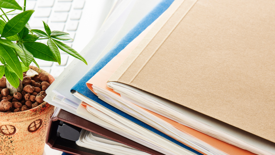 Ordner mit Hauspflanze