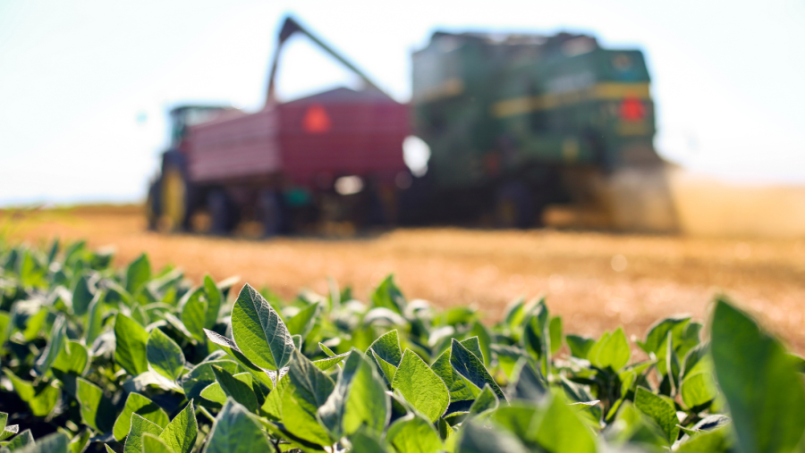 Getreideernte mit Fruchtfolge