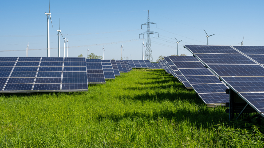 Windräder und Solarpanels auf Wiese.