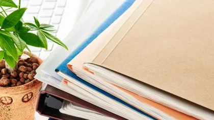 Ordner mit Hauspflanze