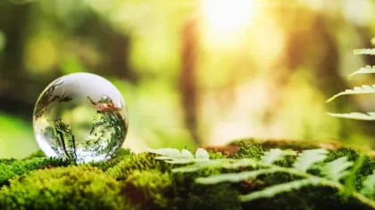 Globus aus Glas in Moos