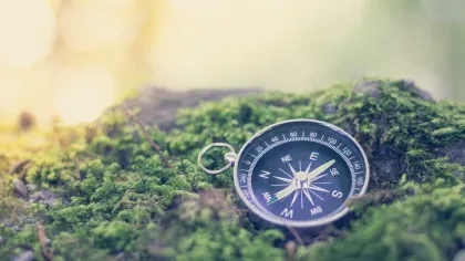 Kompass auf Moosuntergrund