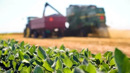 Getreideernte mit Fruchtfolge