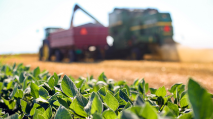 Getreideernte mit Fruchtfolge