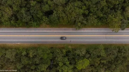 Auto auf einer Waldstraße per Drohne aufgenommen