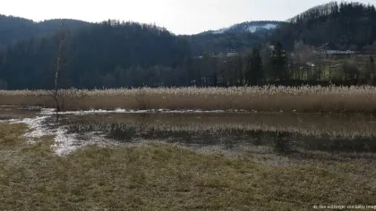 Bild von einem Moor