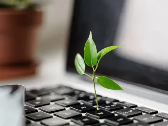 Blätter wachsen scheinbar aus einem Notebook heraus