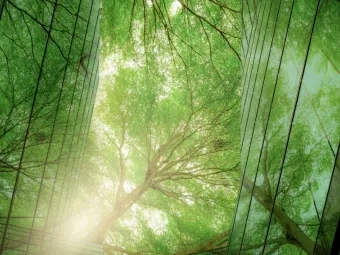 Ein Baum, und Glas - eine Verbindung zwischen Modernität und Natur, so wie Nachhaltige Finanzwirtschaft