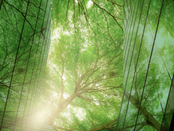 Ein Baum, und Glas - eine Verbindung zwischen Modernität und Natur, so wie Nachhaltige Finanzwirtschaft