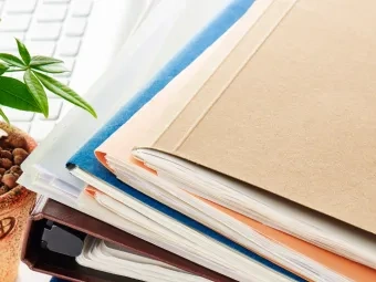 Ordner mit Hauspflanze